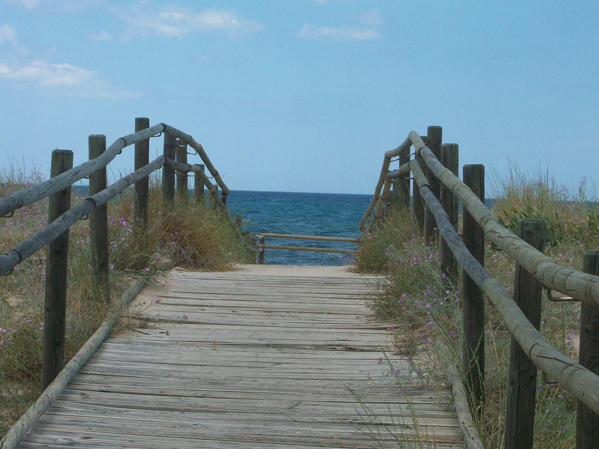 Roderic - Apartamento Junto Al Mar Oliva Luaran gambar