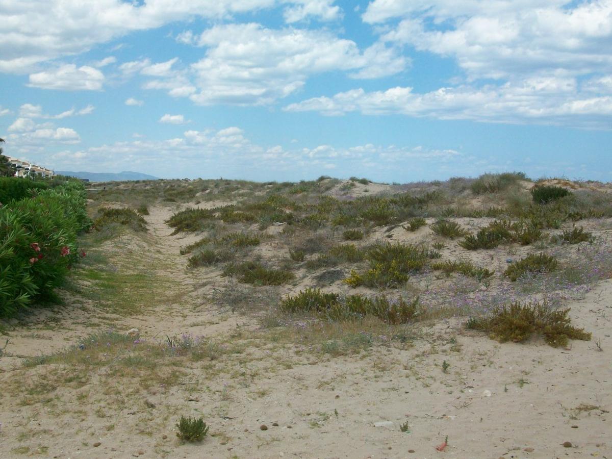 Roderic - Apartamento Junto Al Mar Oliva Luaran gambar